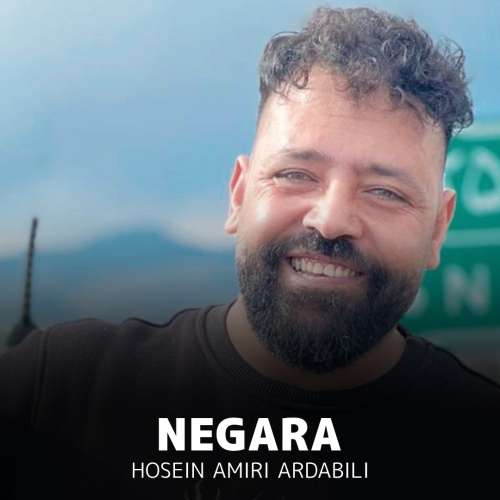 حسین امیری اردبیلی نگارا